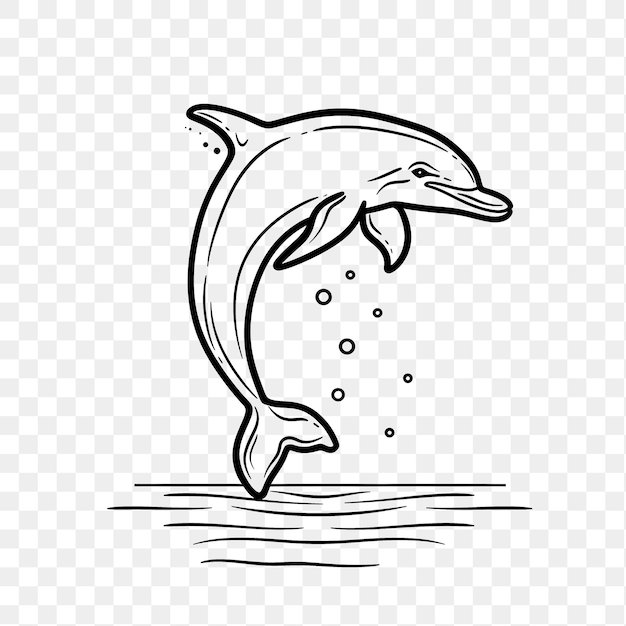 Psd of dolphin jumping out of water dark blue outline color light b animal outline art design