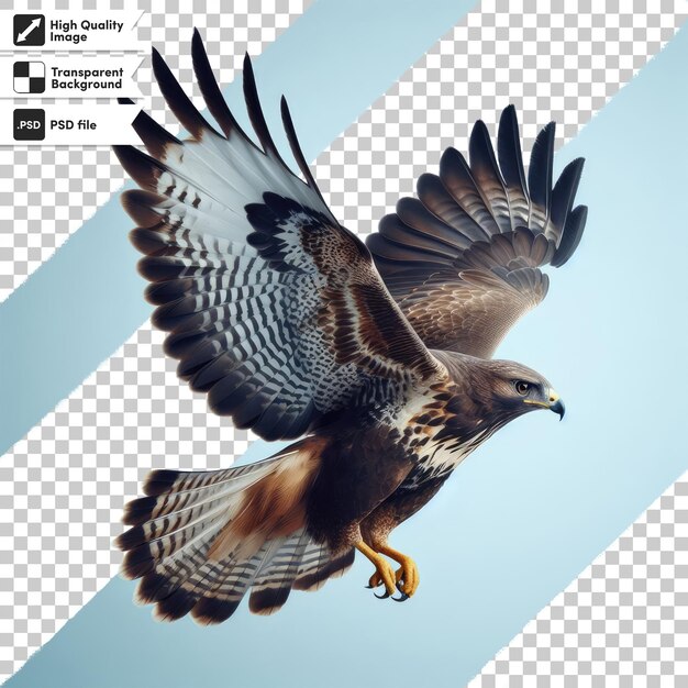 PSD psd eagle in flight on transparent background