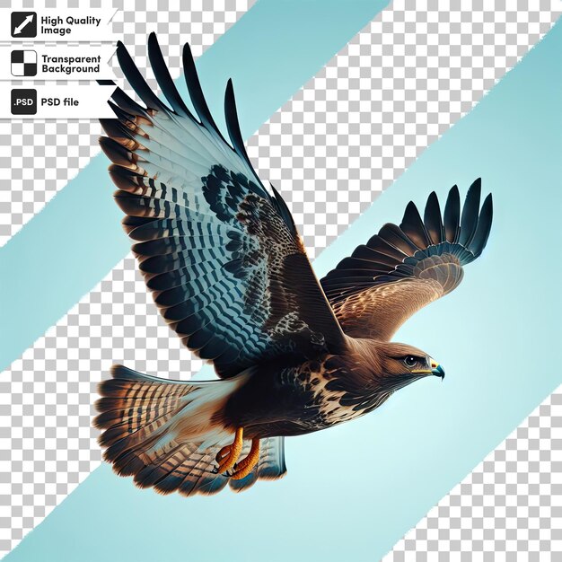 Psd eagle in flight on transparent background