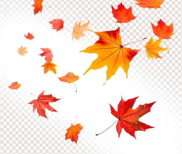 Psd падающие осенние листья на прозрачном фоне