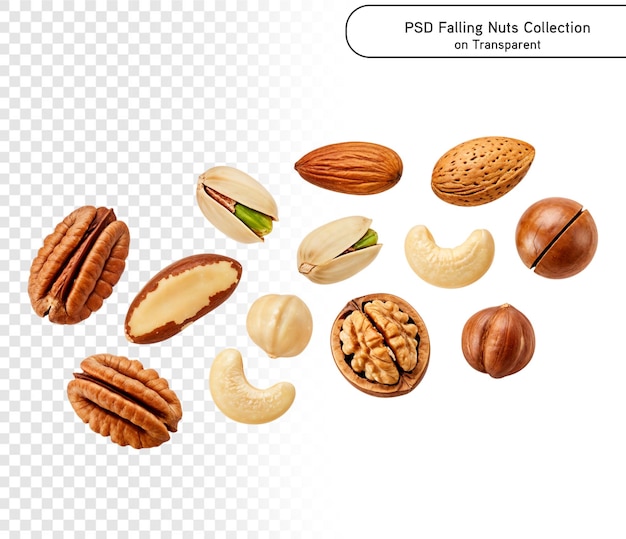 PSD Falling nuts collection cashew hazelnut almond Brazil nut walnut peanut on PNG transparent