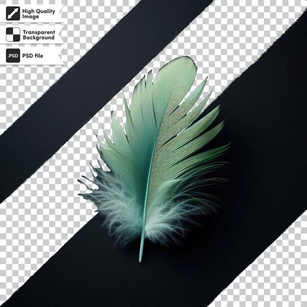 Psd feather on transparent background