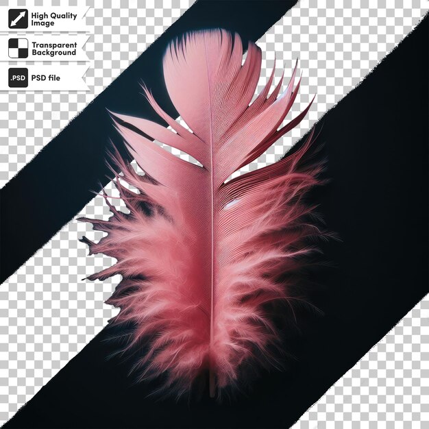 PSD psd feather on transparent background