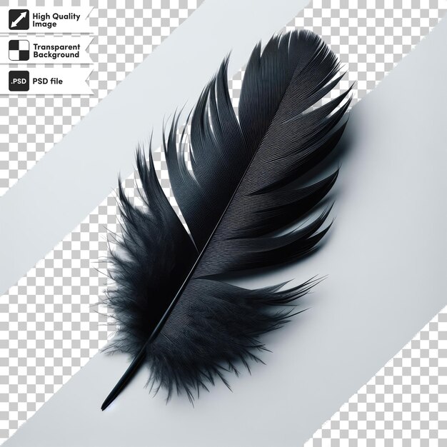 PSD psd feather on transparent background