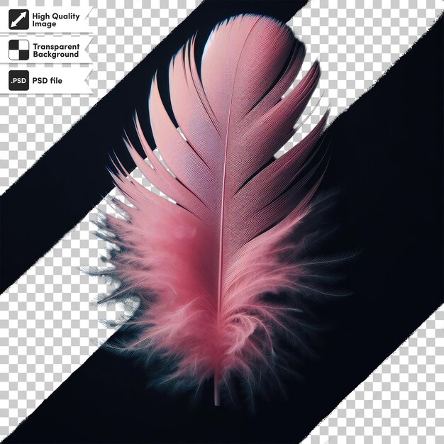 Psd feather on transparent background