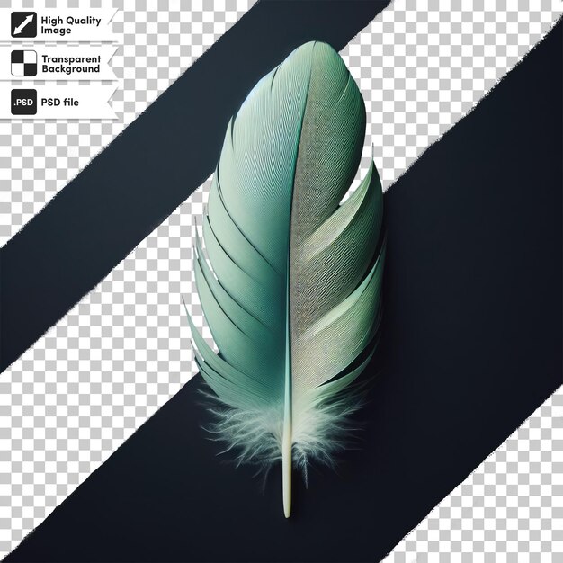 PSD psd feather on transparent background