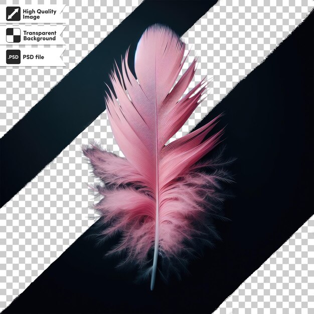 PSD psd feather on transparent background