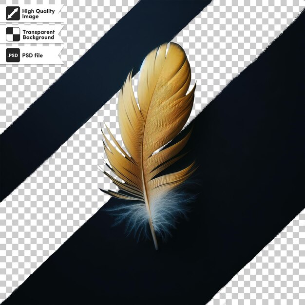 PSD psd feather on transparent background