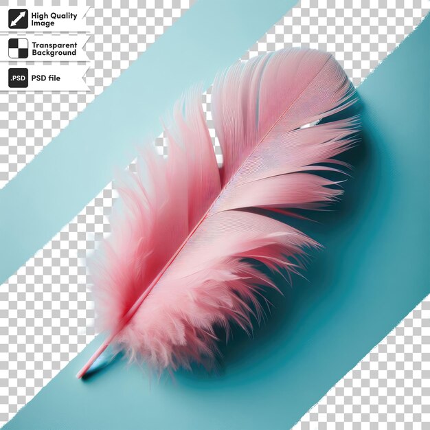 PSD psd feather on transparent background