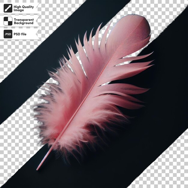 PSD psd feather on transparent background