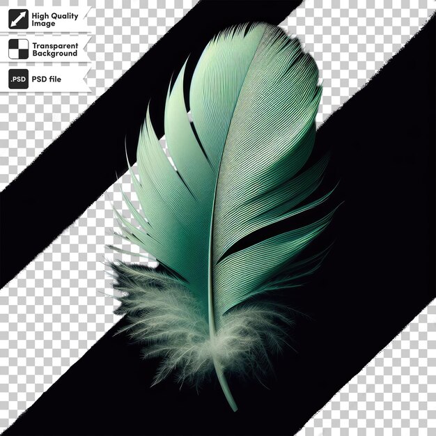 Psd feather on transparent background