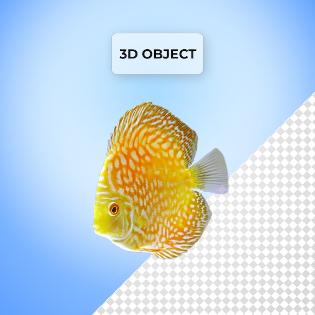 Psd fish png transparent background