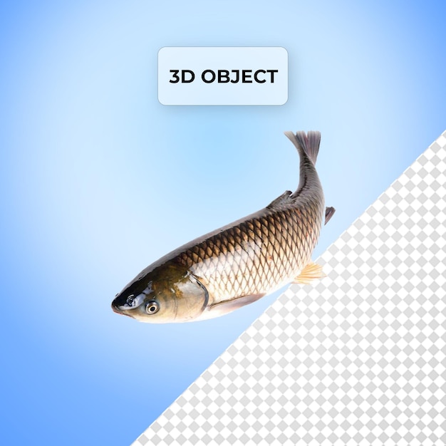 PSD psd fish png transparent background