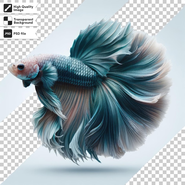 PSD fish on transparent background