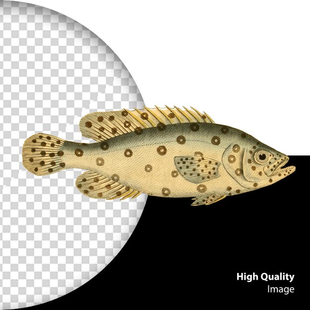 PSD psd fish watercolor illustration isolated on a transparent background