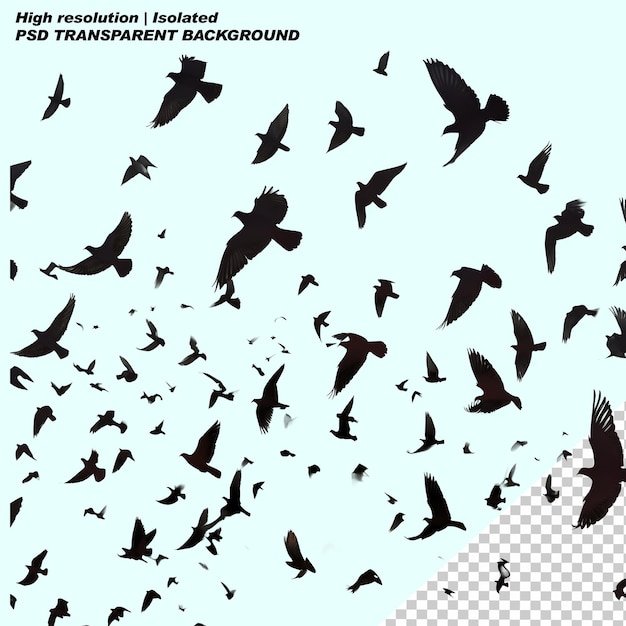 PSD psd flock birds flying through a blue sky on isolated transparent background