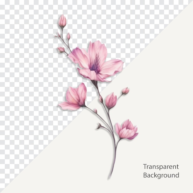 psd flower illustration transparent background