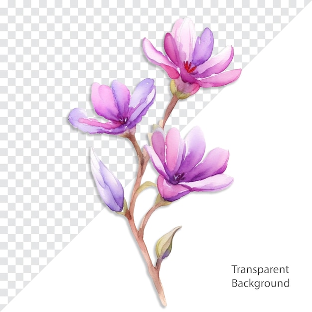 PSD psd flower illustration transparent background