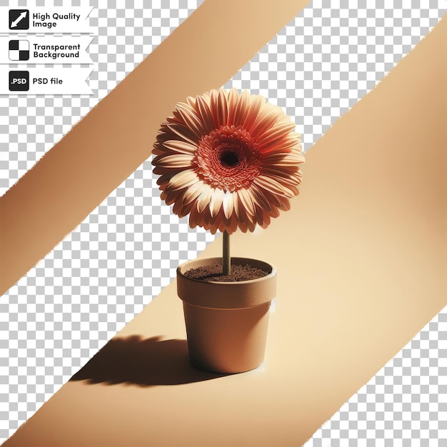 Psd flower in a pot on transparent background