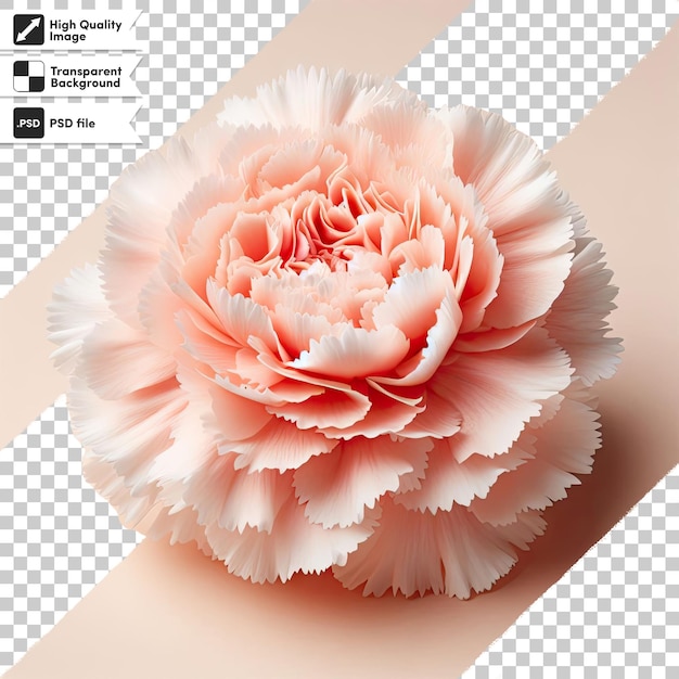 PSD psd flower on transparent background