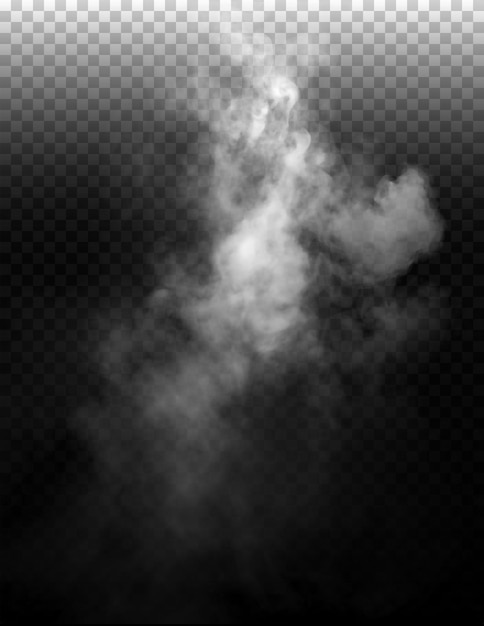 PSD Fog or smoke isolated transparent Background mist or smog background PNG smoke