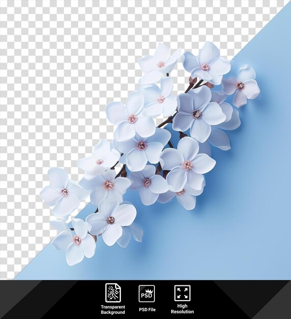 PSD psd forget me not flower isolated on a blue background png