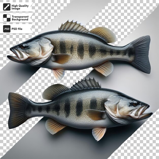 PSD pesce fresco psd su sfondo trasparente con strato di maschera modificabile
