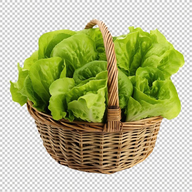 PSD psd fresh lettuce isolated premium psd png