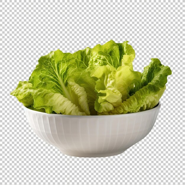 Psd fresh lettuce isolated premium psd png