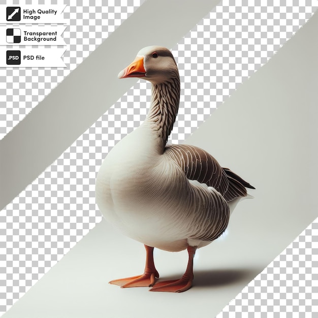 PSD psd full body view of greylag goose alone on transparent background with editable mask layer