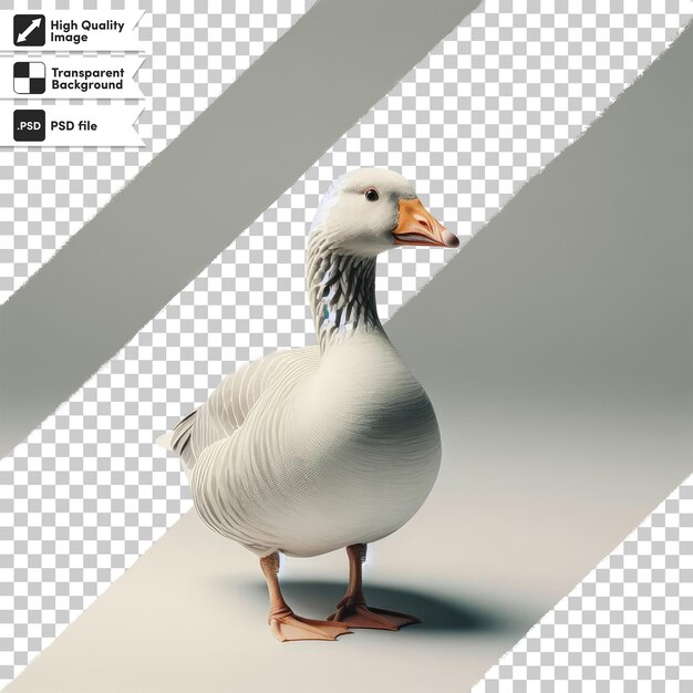 PSD psd full body view van greylag gans alleen op transparante achtergrond met bewerkbare maskerlaag