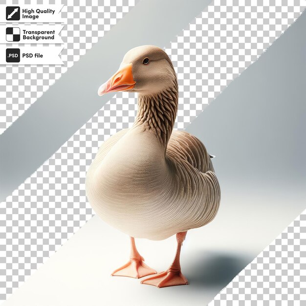 PSD psd full body view van greylag gans alleen op transparante achtergrond met bewerkbare maskerlaag