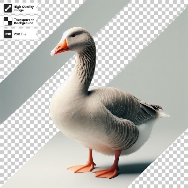 PSD psd full body view van greylag gans alleen op transparante achtergrond met bewerkbare maskerlaag