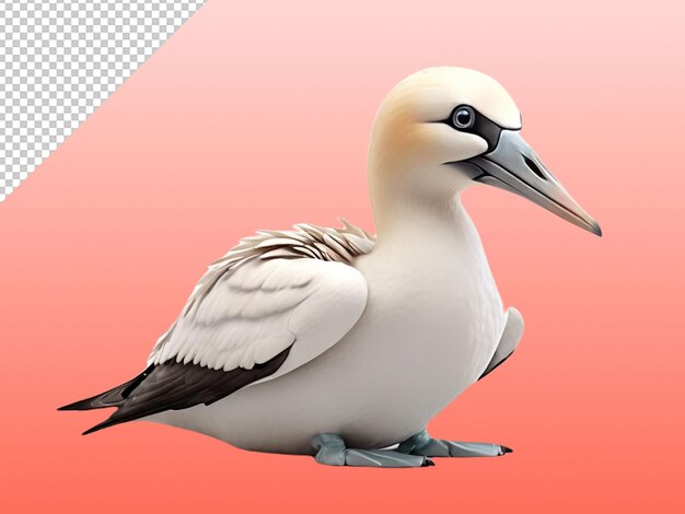 PSD psd of a gannet on transparent background