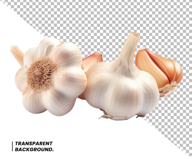 PSD psd garlic bulb and clove isolated