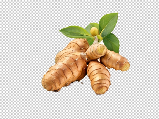 PSD psd ginger png on a transparent background