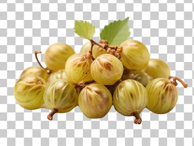 PSD psd of a gooseberries