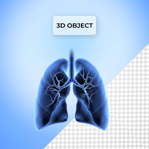 PSD psd graphy lung human body png transparent background