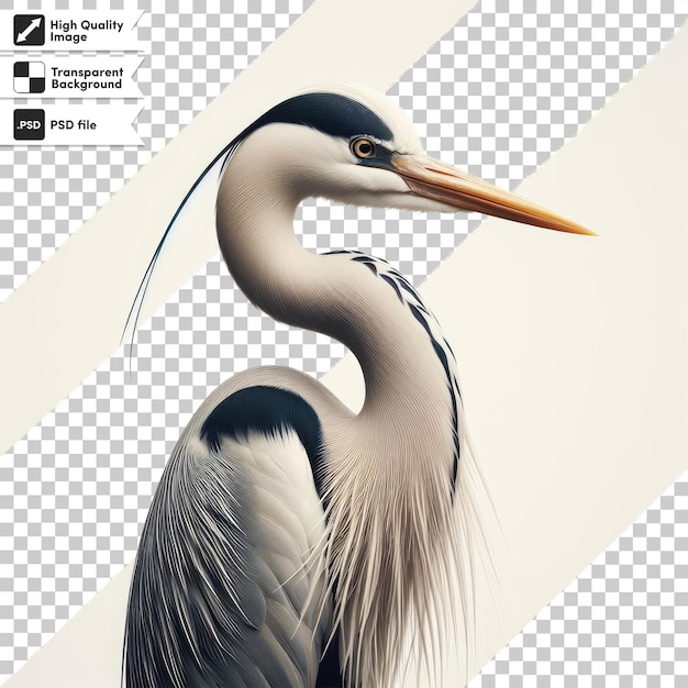 Psd great blue heron ardea cinerea on transparent background with editable mask layer