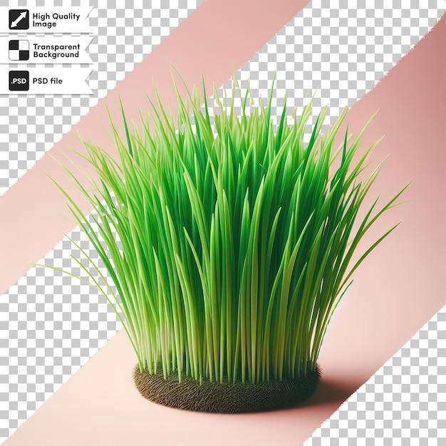 PSD psd green grass on transparent background