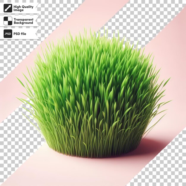 PSD psd green grass on transparent background