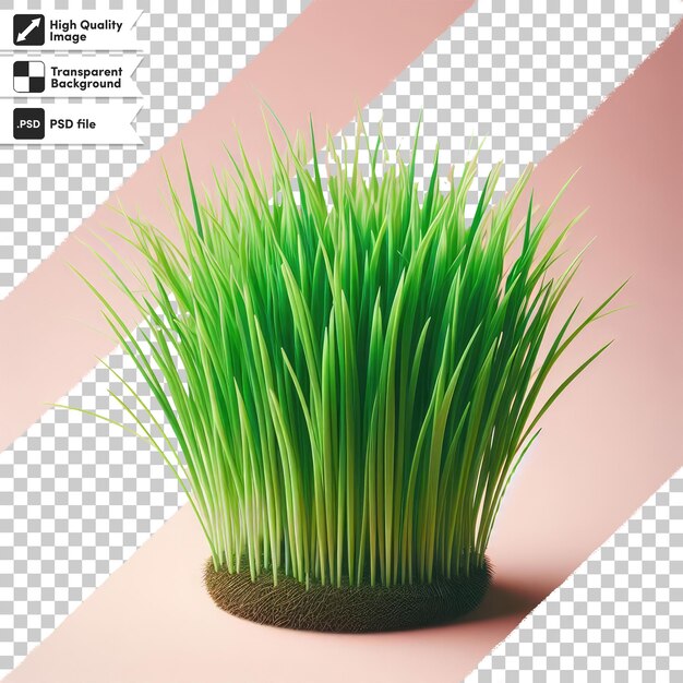 PSD psd green grass with white flower on transparent background