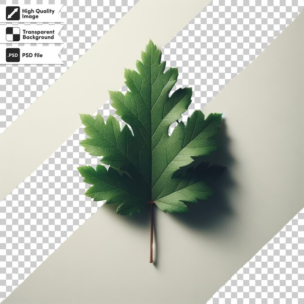 Psd green leaf on transparent background with editable mask layer