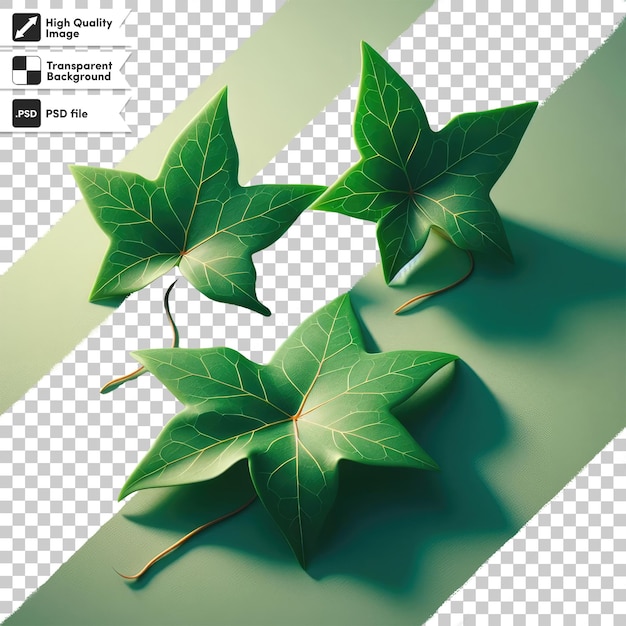 PSD green leaf on transparent background