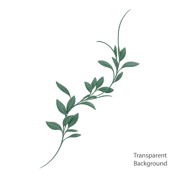 PSD psd green leaves illustration