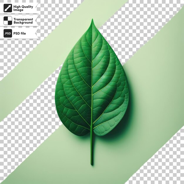 PSD psd green leaves on transparent background