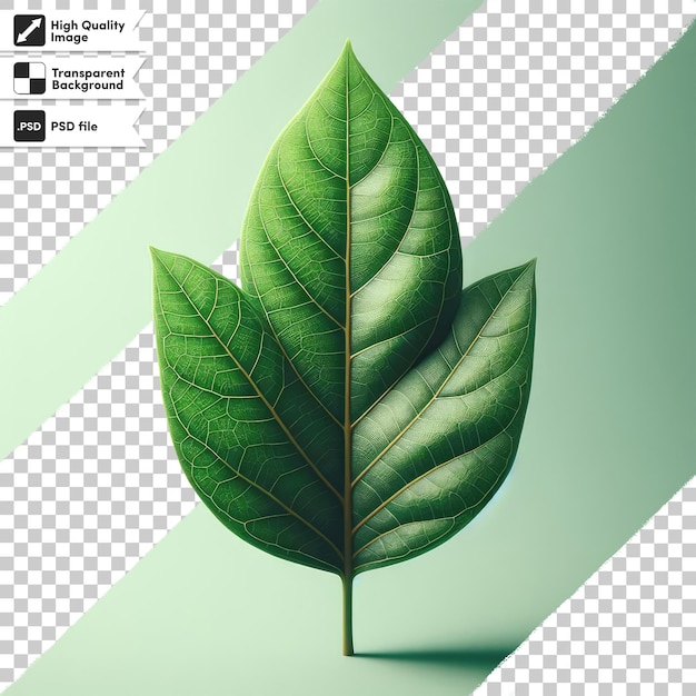 PSD psd green leaves on transparent background