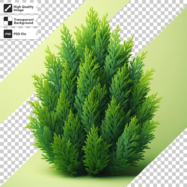 Psd groene dennenboom op transparante achtergrond