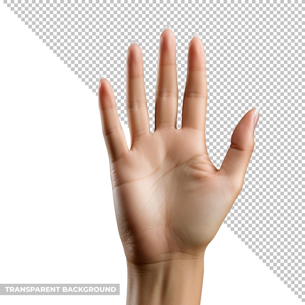 PSD psd hand isolated without background