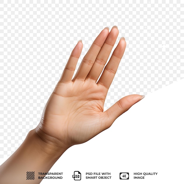 PSD psd hand transparent background